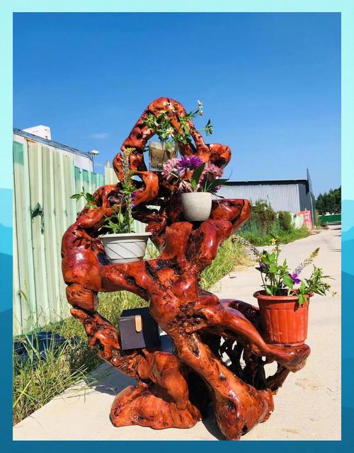 荔枝根花几:残缺之美,自然之韵 荔枝根随形花几,原材全手作,凝聚匠人