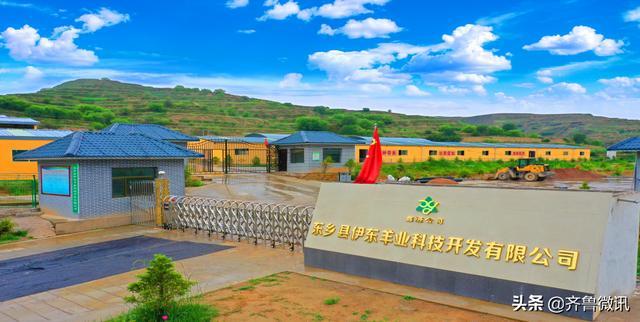 泉城花儿 东西协作